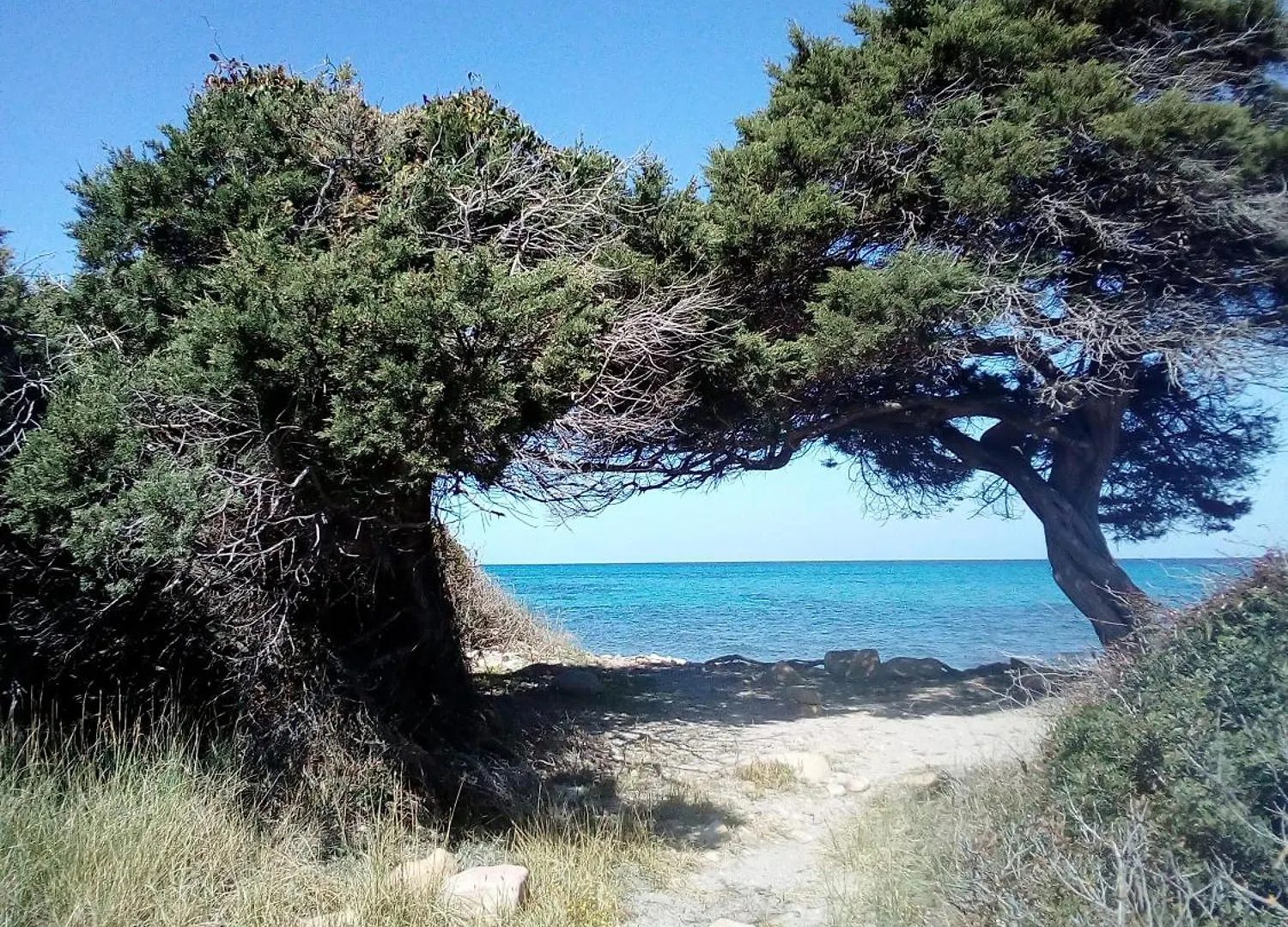 Arena'S Casa Vacanze La Caletta Italy